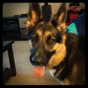 🇺🇸🇺🇸🇺🇸 means 3 for $15 🇺🇸🇺🇸🇺🇸🇺🇸